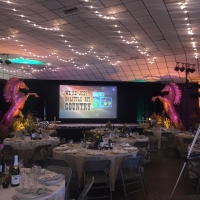 2017 Annual Awards Dinner