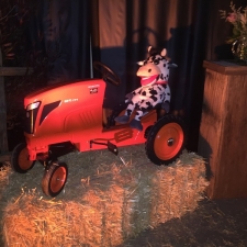 Kubota Tractor with Cow