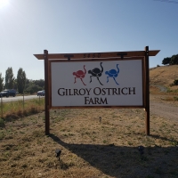Gilroy Ostrich Farm Ribbon Cutting