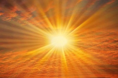 California Sunshine Development