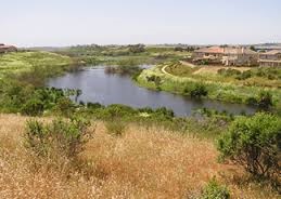 Watsonville Wetlands Watch