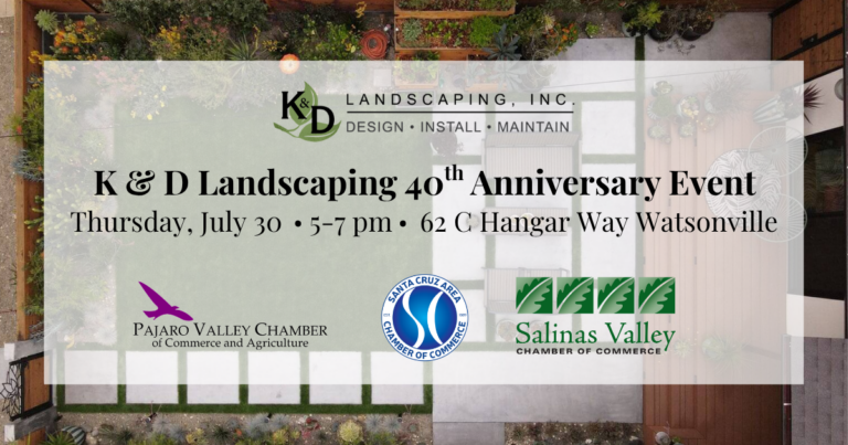 K&D 40th Anniversary