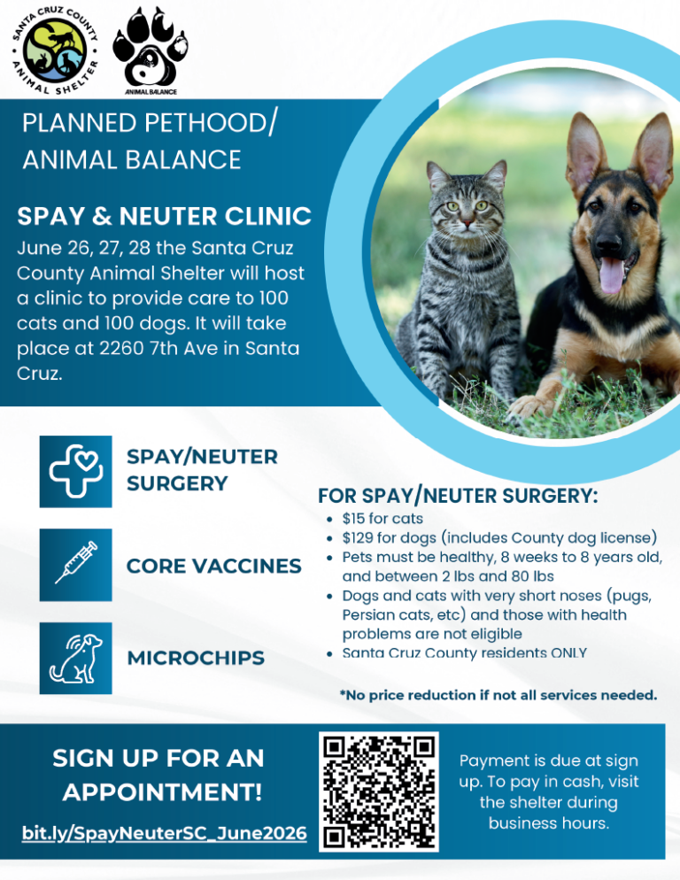 Spay and neuter