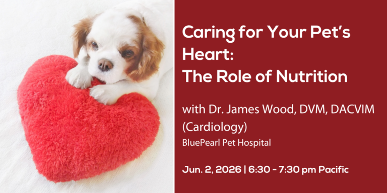 Pet DentalWebinar