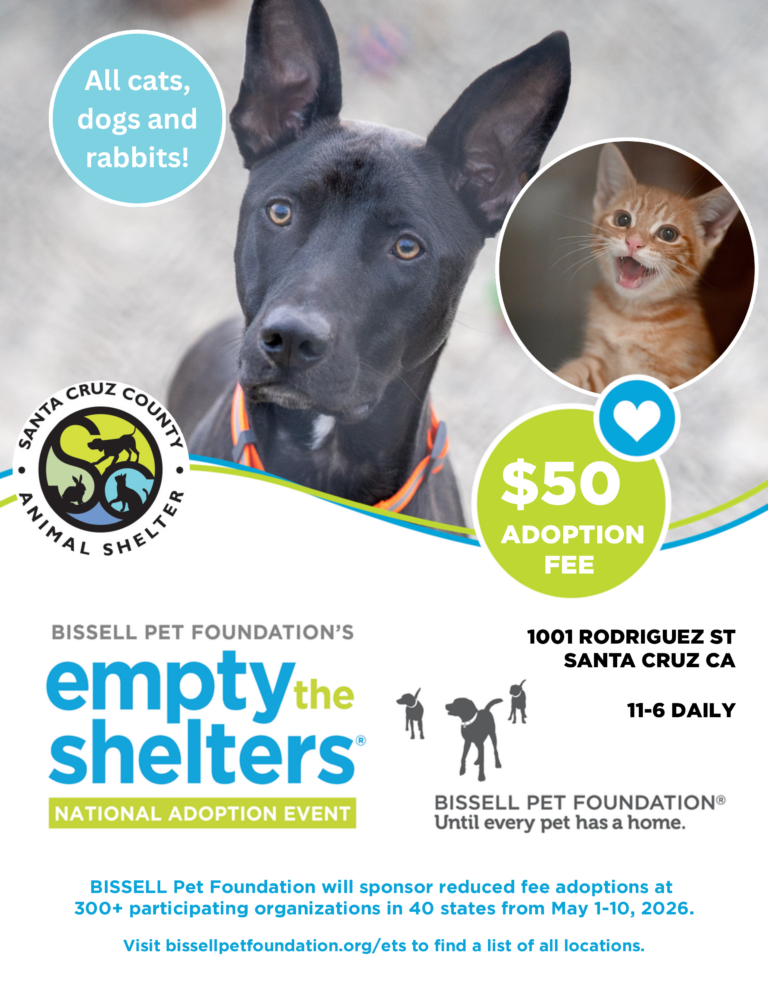 empty the shelters